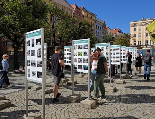 33. Fotomaraton Świdnicki [wystawa plenerowa]