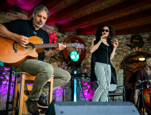 Nastrojowy, akustyczny koncert w Parku Centralnym [FOTO]